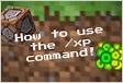 How to Use the Xp Command in Minecraf